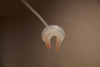 Caroline_Yan_Zheng copy